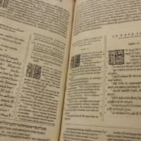 Polyglot_3.JPG
